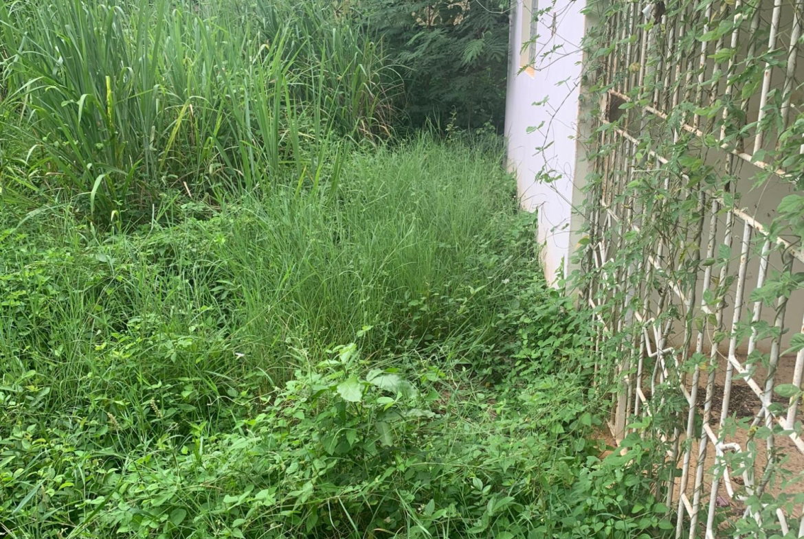 Third image of Lot 117-10 St. Rose Drive, Green Acr in Green Acres, St. Catherine, Jamaica - property is For Sale