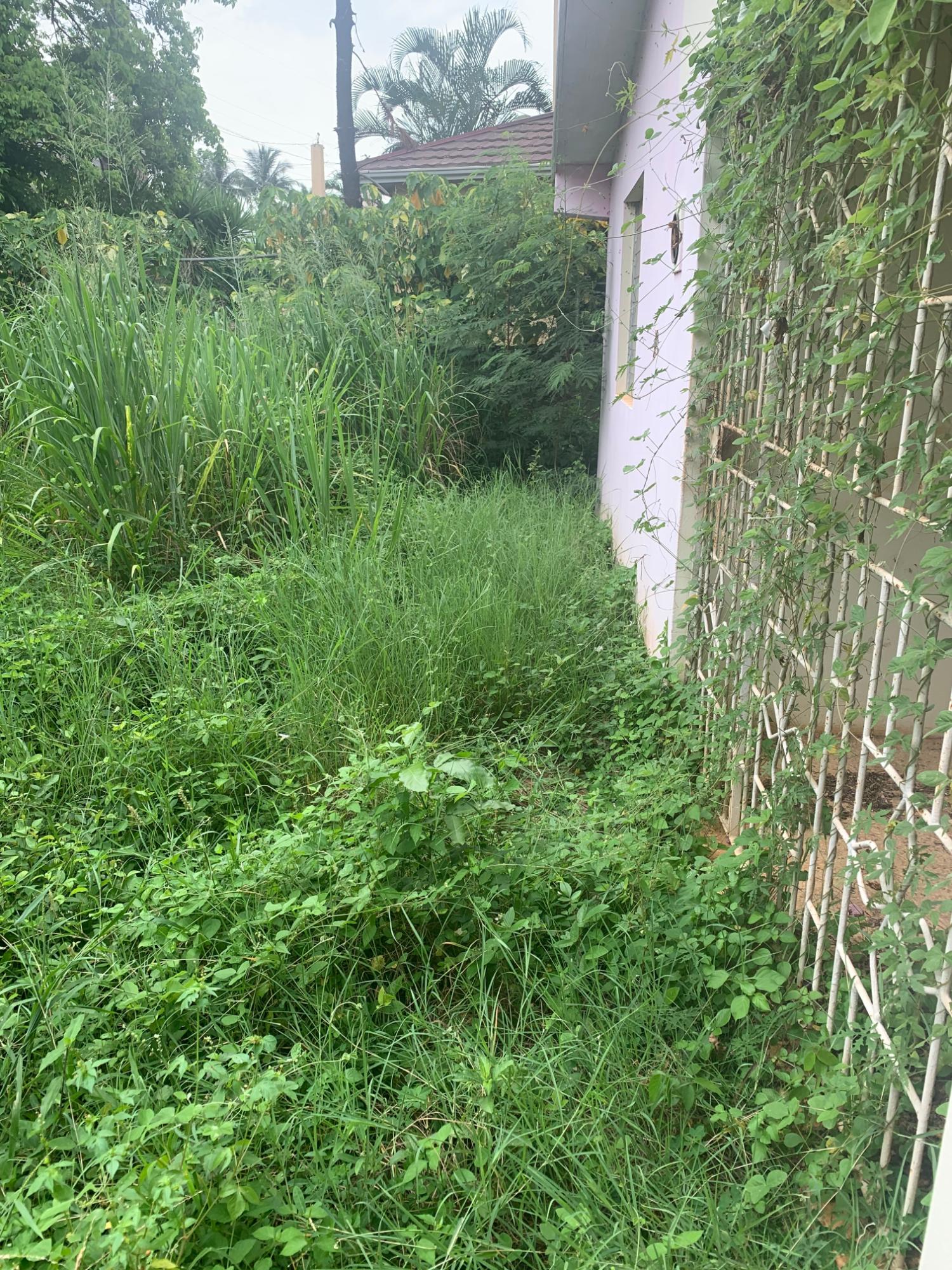 Third image of Lot 117-10 St. Rose Drive, Green Acr in Green Acres, St. Catherine, Jamaica - property is For Sale