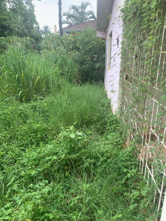 Third image of Lot 117-10 St. Rose Drive, Green Acr in Green Acres, St. Catherine, Jamaica - property is For Sale