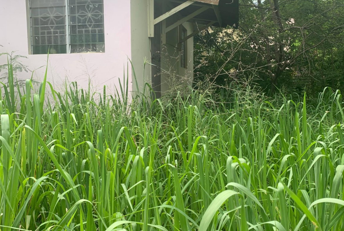 Fourth image of Lot 117-10 St. Rose Drive, Green Acr in Green Acres, St. Catherine, Jamaica - property is For Sale