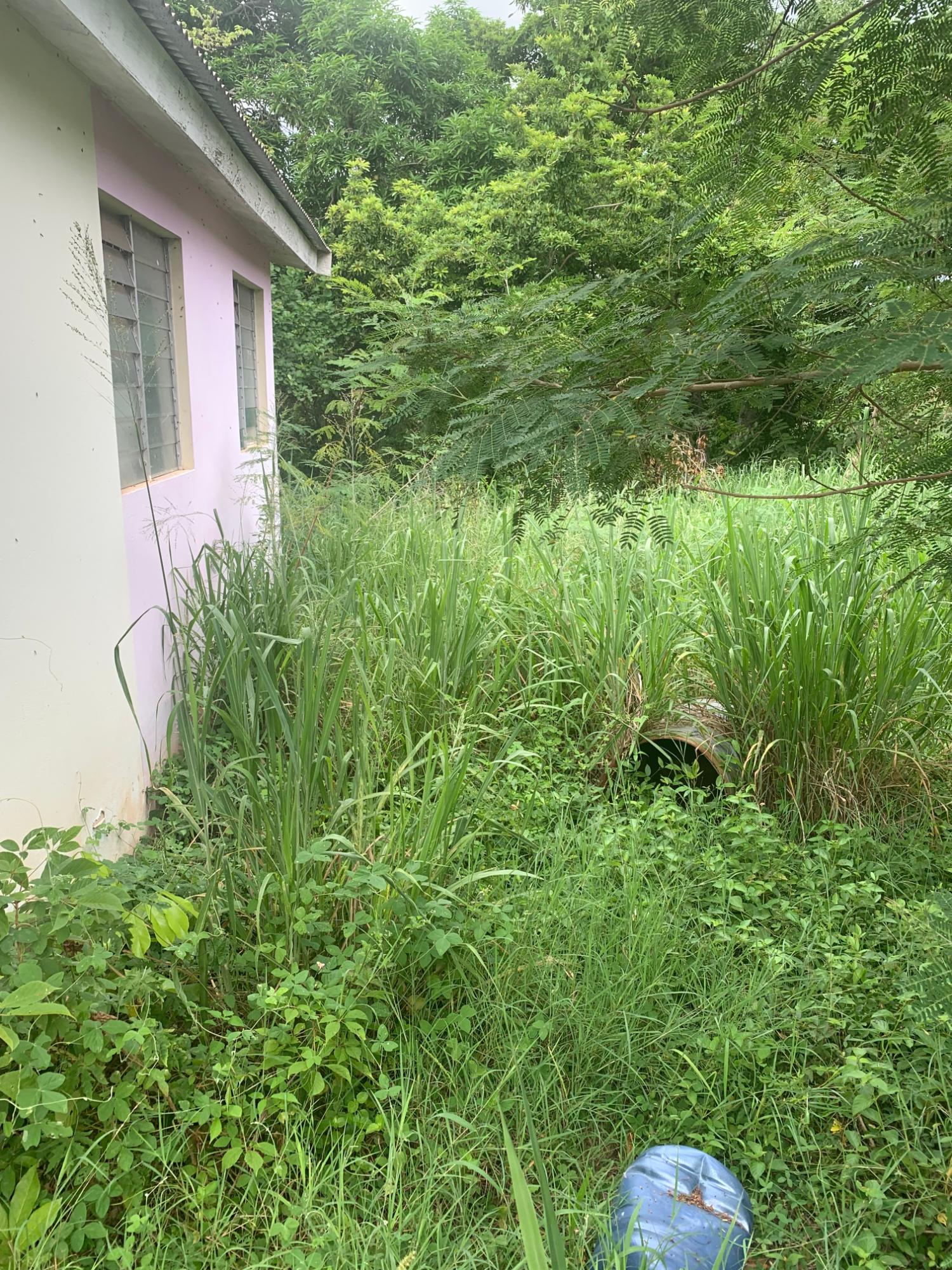 Fifth image of Lot 117-10 St. Rose Drive, Green Acr in Green Acres, St. Catherine, Jamaica - property is For Sale