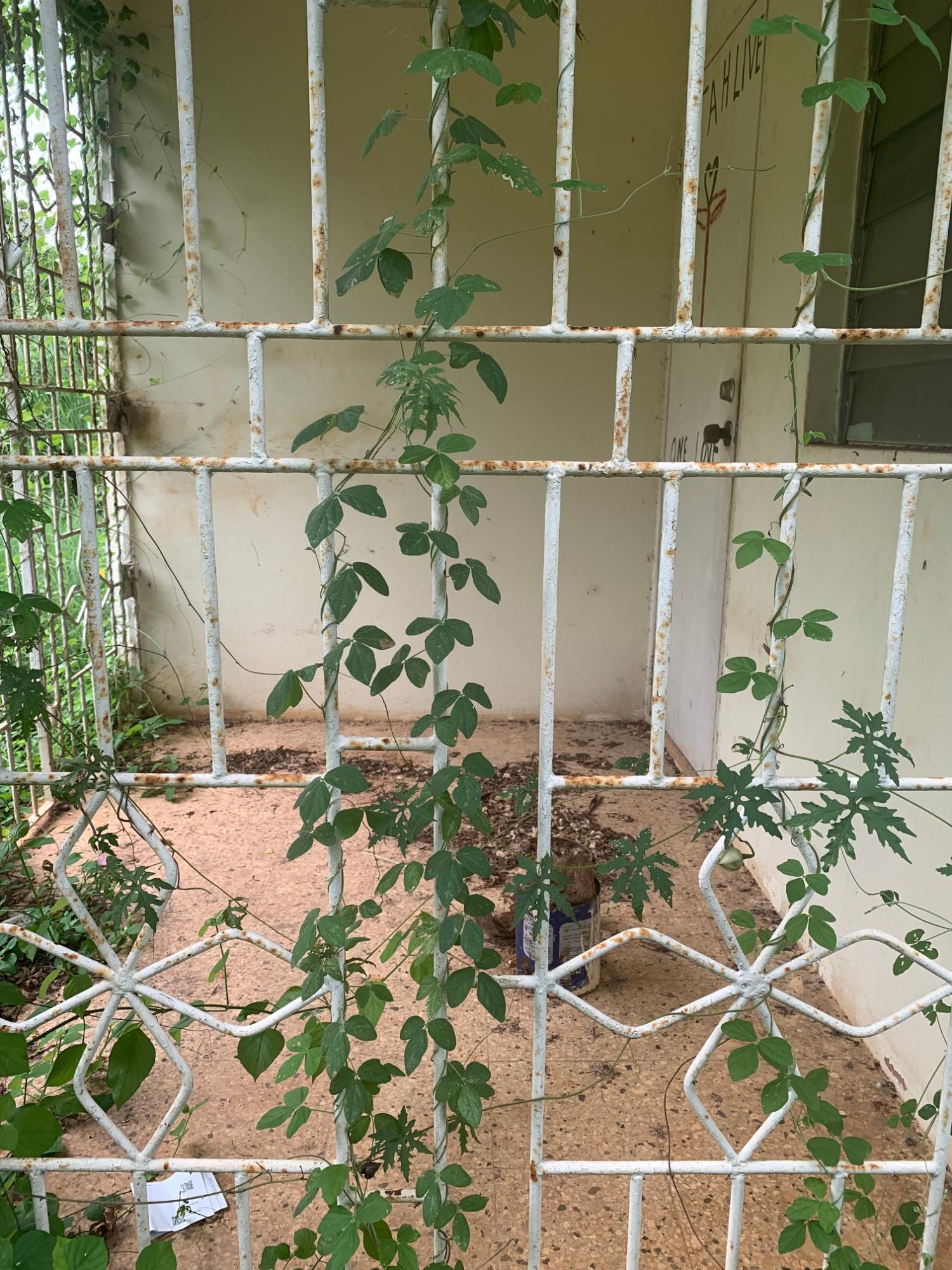 Sixth image of Lot 117-10 St. Rose Drive, Green Acr in Green Acres, St. Catherine, Jamaica - property is For Sale