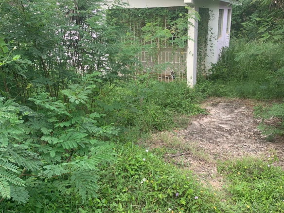 First image of Lot 117-10 St. Rose Drive, Green Acr in Green Acres, St. Catherine, Jamaica - property is For Sale