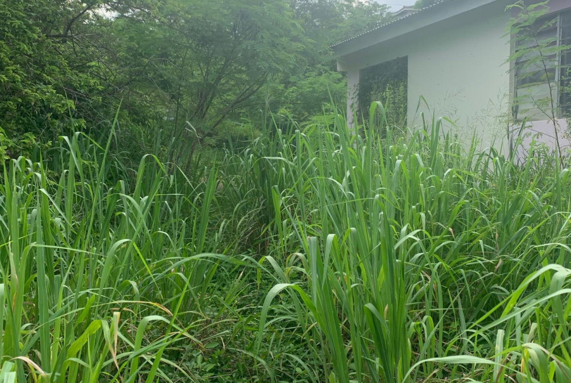 Seventh image of Lot 117-10 St. Rose Drive, Green Acr in Green Acres, St. Catherine, Jamaica - property is For Sale