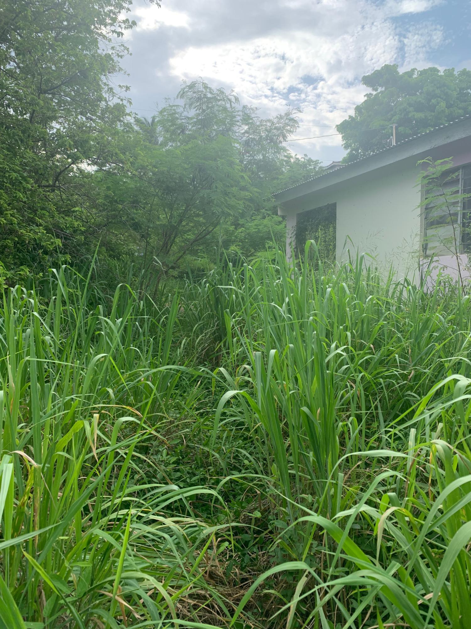 Seventh image of Lot 117-10 St. Rose Drive, Green Acr in Green Acres, St. Catherine, Jamaica - property is For Sale