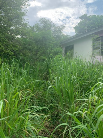 Seventh image of Lot 117-10 St. Rose Drive, Green Acr in Green Acres, St. Catherine, Jamaica - property is For Sale