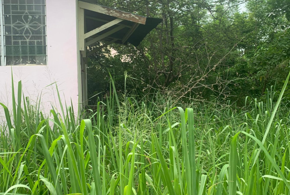 Eighth image of Lot 117-10 St. Rose Drive, Green Acr in Green Acres, St. Catherine, Jamaica - property is For Sale