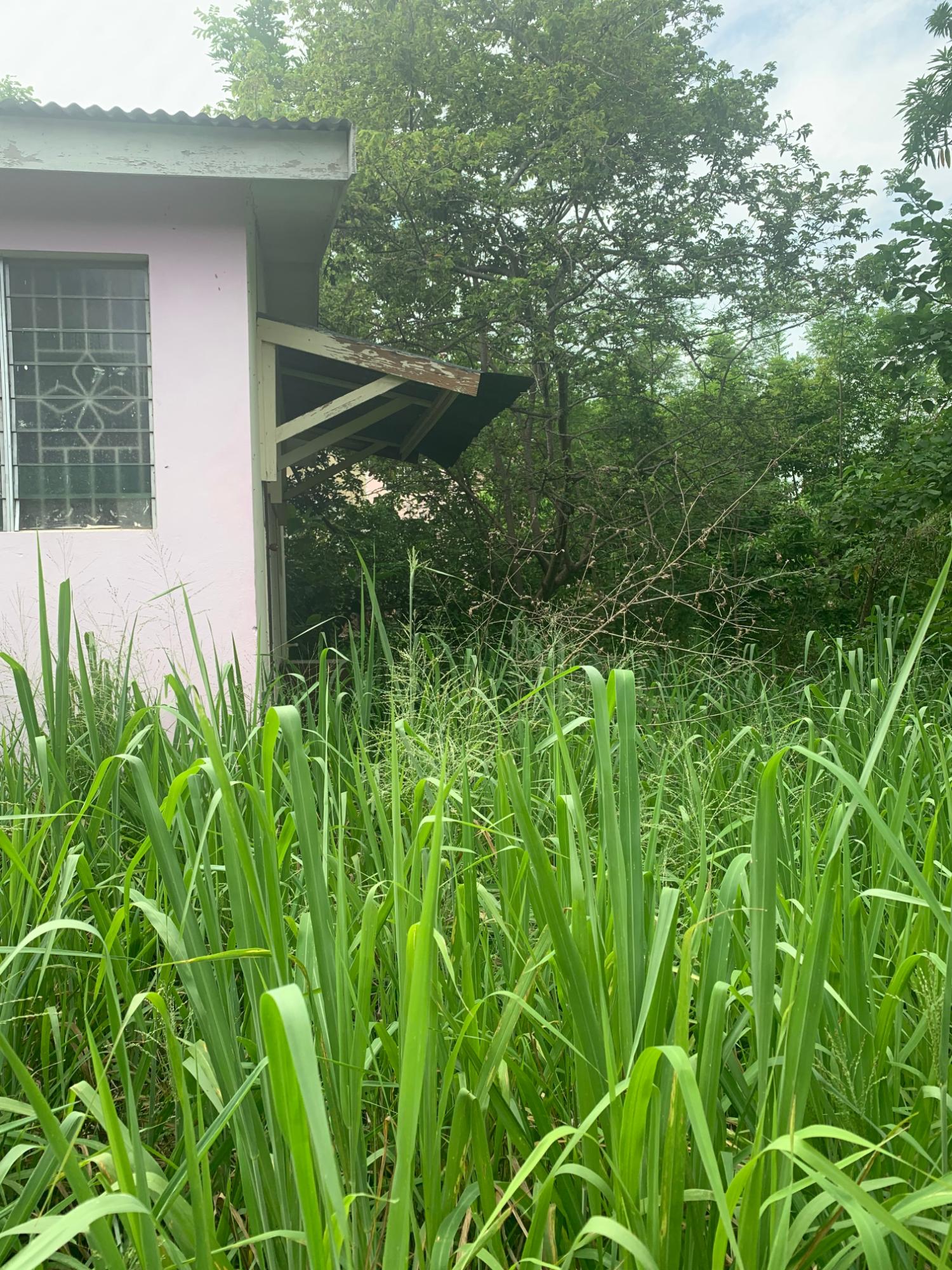 Eighth image of Lot 117-10 St. Rose Drive, Green Acr in Green Acres, St. Catherine, Jamaica - property is For Sale