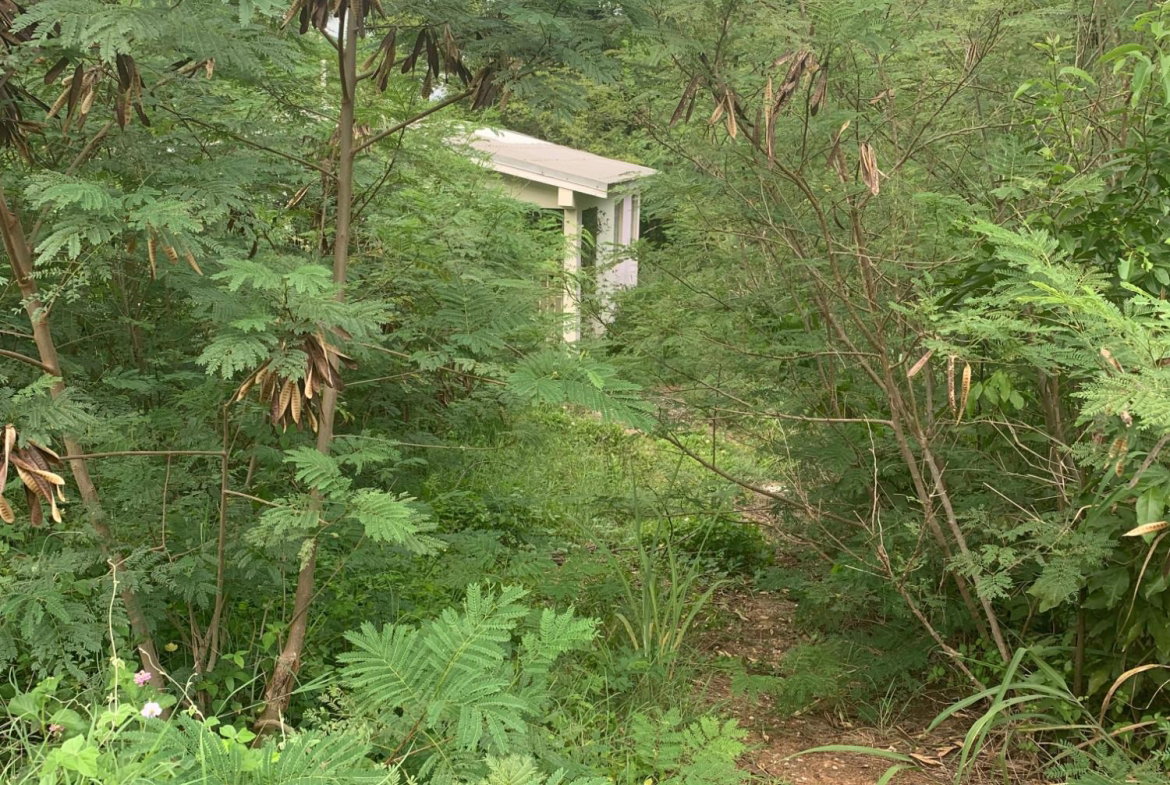 Ninth image of Lot 117-10 St. Rose Drive, Green Acr in Green Acres, St. Catherine, Jamaica - property is For Sale