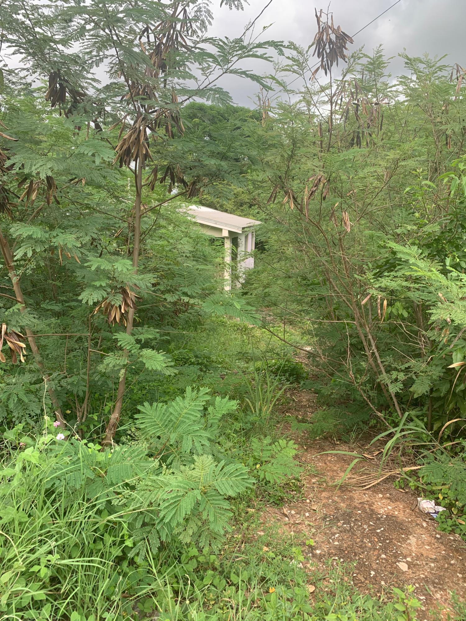 Ninth image of Lot 117-10 St. Rose Drive, Green Acr in Green Acres, St. Catherine, Jamaica - property is For Sale