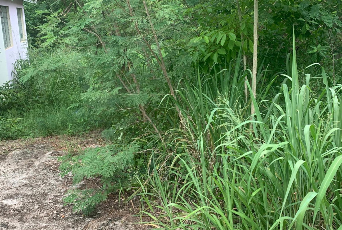 Tenth image of Lot 117-10 St. Rose Drive, Green Acr in Green Acres, St. Catherine, Jamaica - property is For Sale