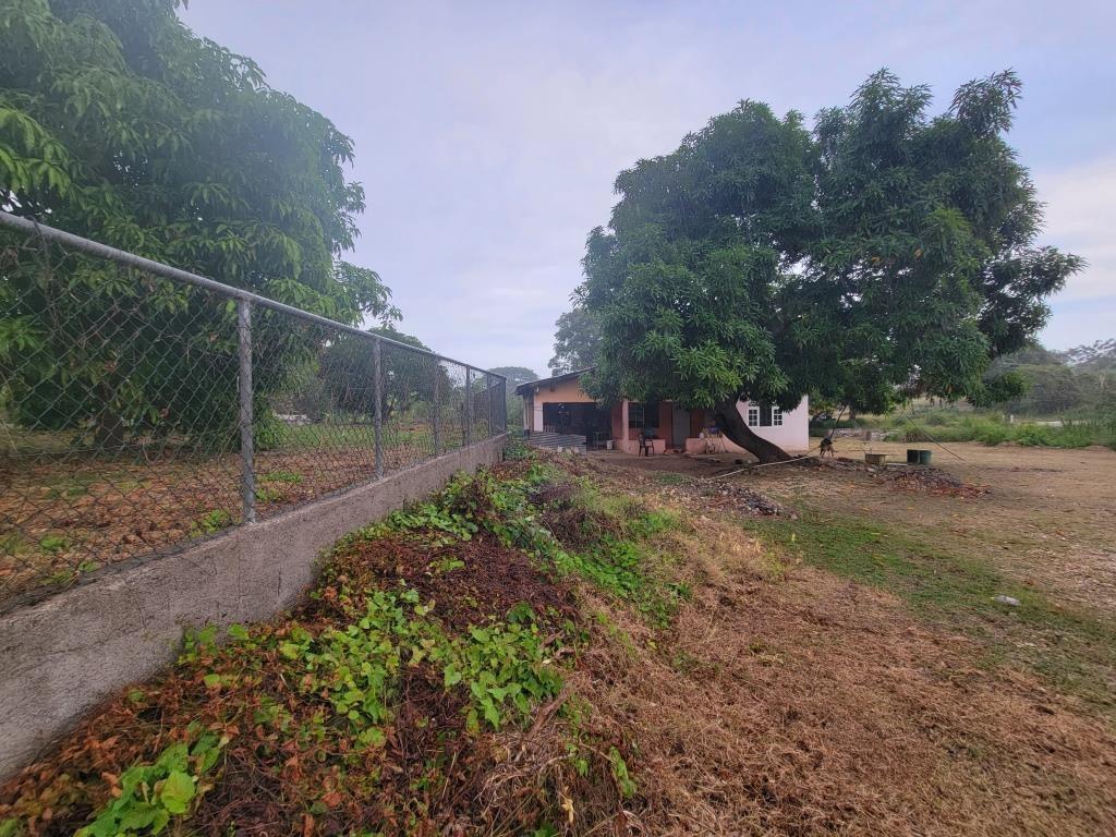 Second image of Hayes, Savanna in Hayes Savanna, Clarendon, Jamaica - property is For Sale