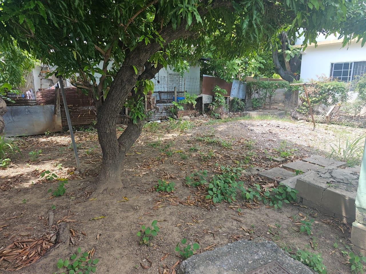 Charming-2-Bedroom-House-for-Sale-in-Independence-City-Jamaica Eleventh image of 45 Cornwall Avenue in Independence City, St. Catherine, Jamaica - property is For Sale