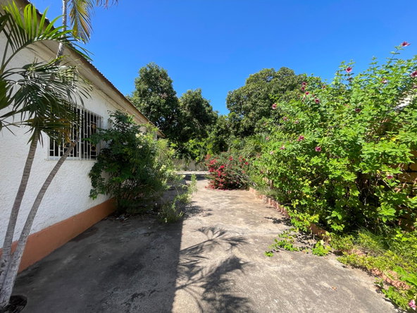 Fifteenth image of 19 Portland Road in Kingston 2, Kingston, Jamaica - property is For Sale