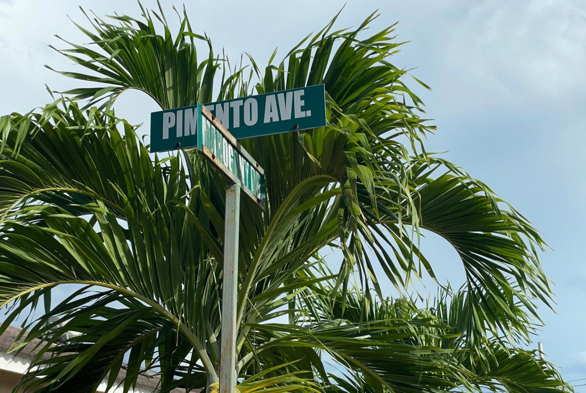 Fourth image of 7 Pimento Avenue, Drax Hall in Drax Hall Estate, St. Ann, Jamaica - property is For Sale