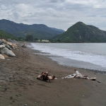 First image of 1 Lake Close in BULL BAY, St. Andrew, Jamaica - property is For Sale