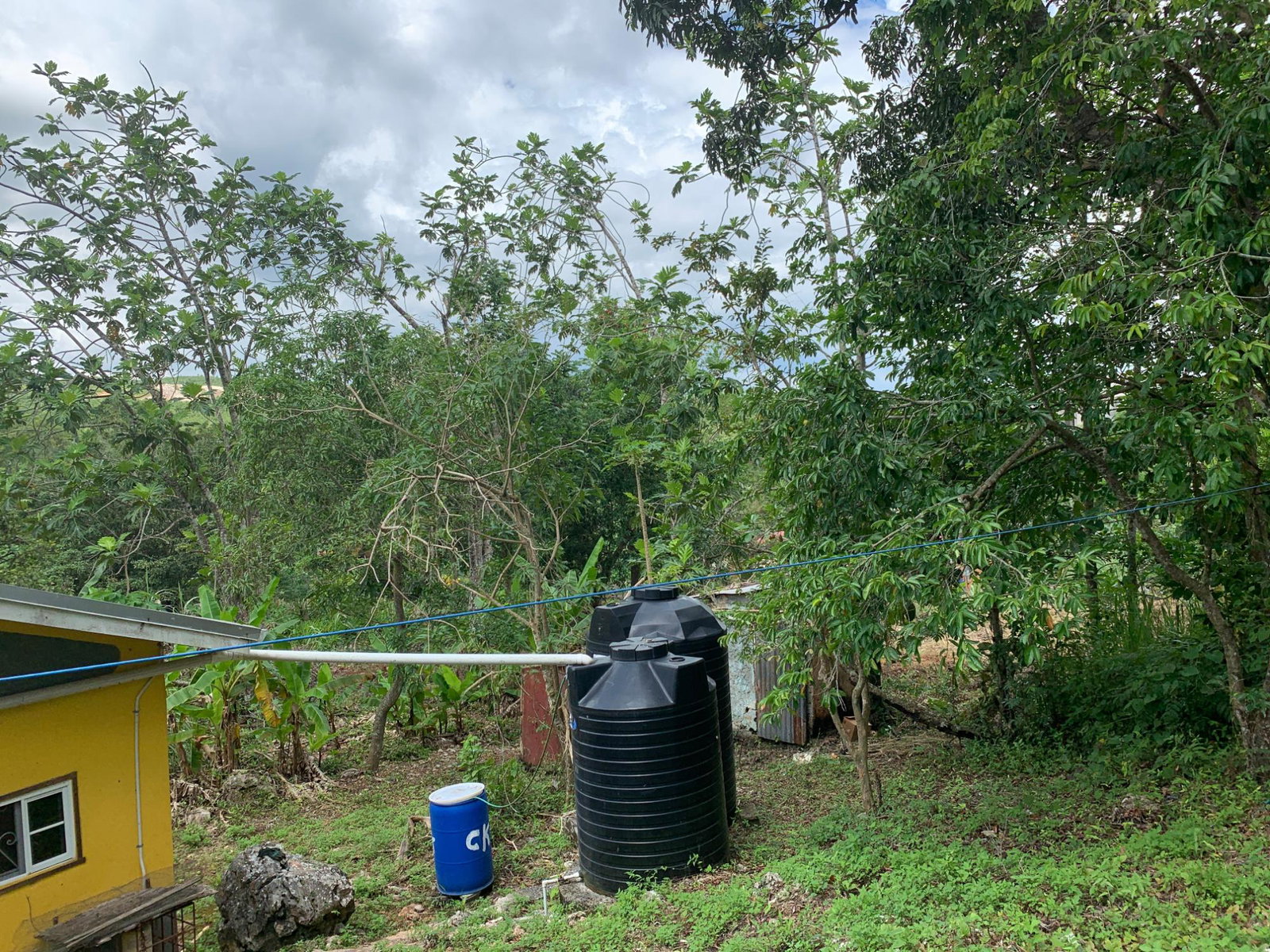 Eighteenth image of Green Pond in Green Pond, Manchester, Jamaica - property is For Sale