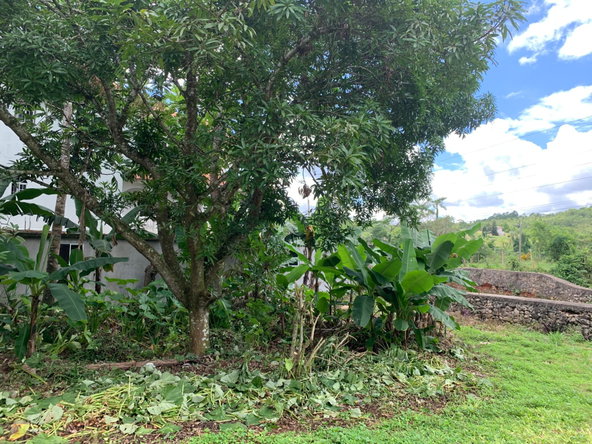 Twentieth image of Green Pond in Green Pond, Manchester, Jamaica - property is For Sale