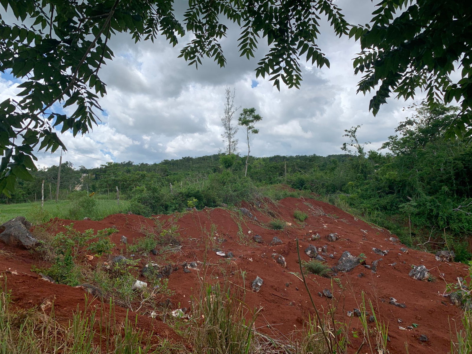 Twenty-Second image of Green Pond in Green Pond, Manchester, Jamaica - property is For Sale