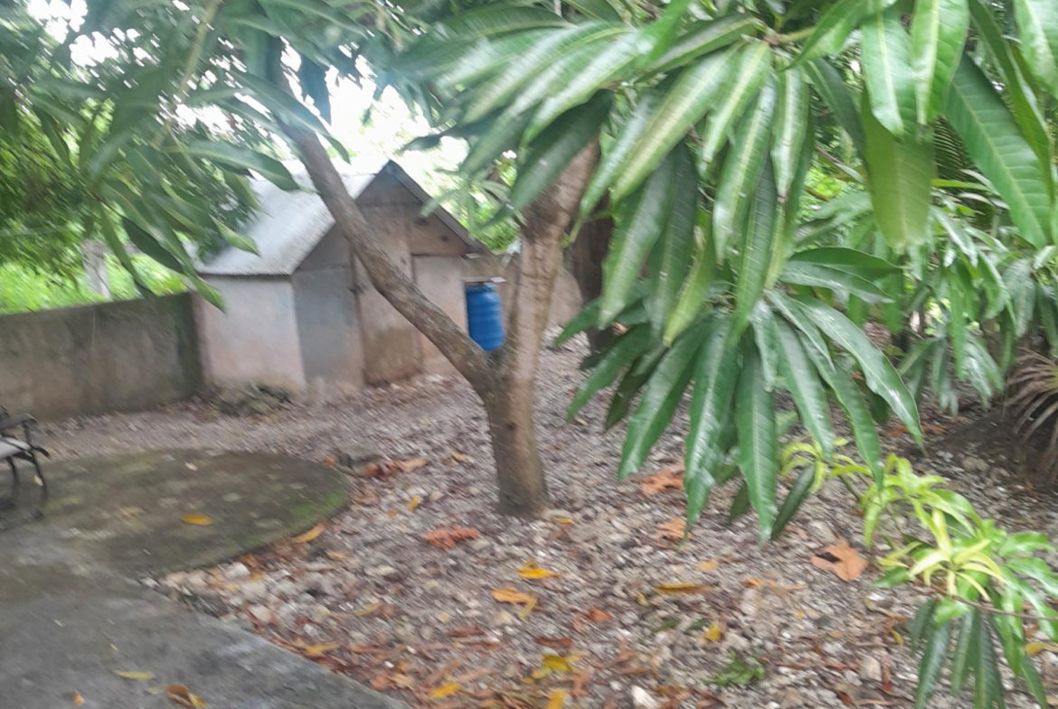 Twentieth image of 18 Aldon Street, Hart Hill, in Hart Hill, Portland, Jamaica - property is For Sale