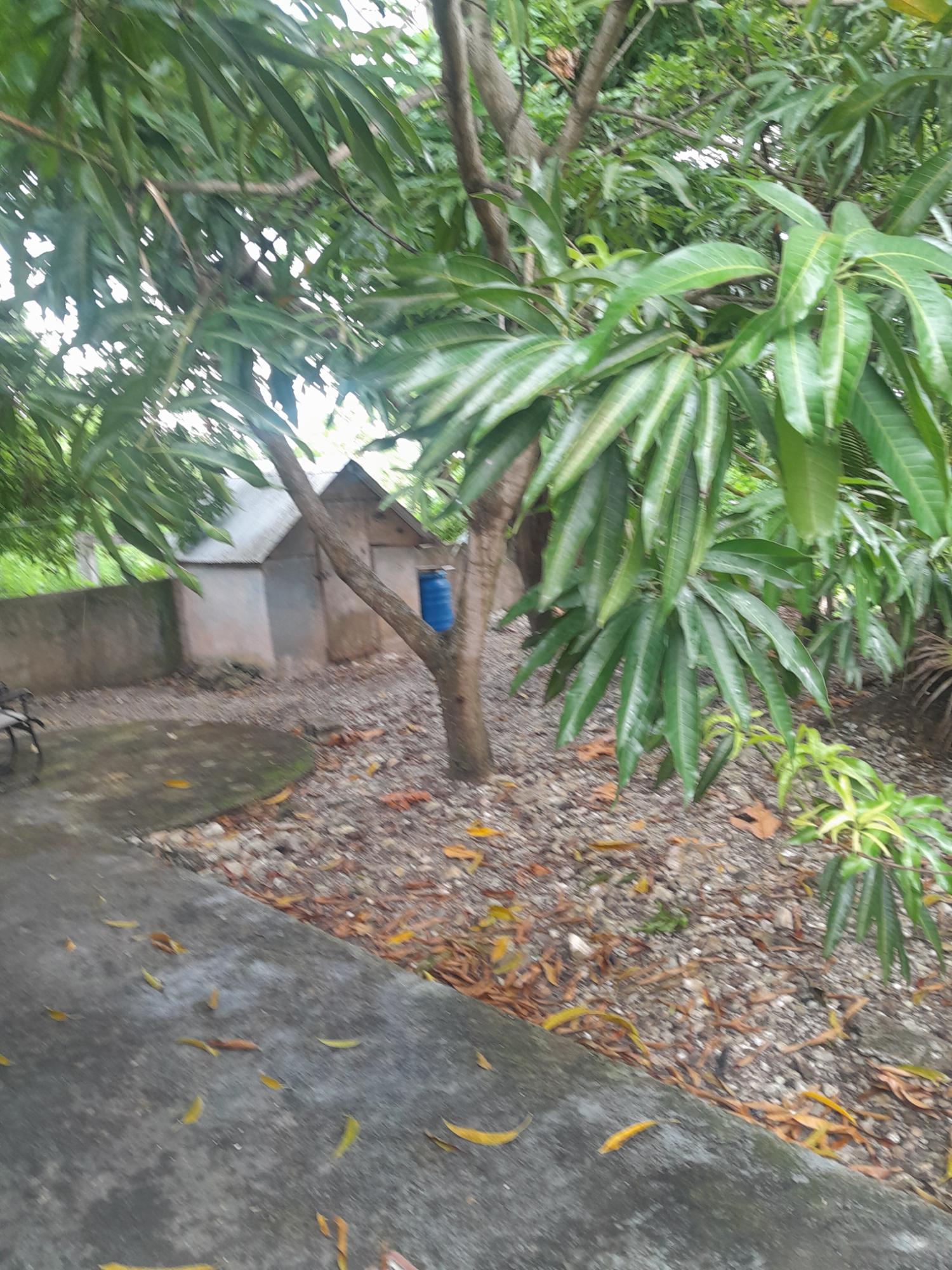 Twentieth image of 18 Aldon Street, Hart Hill, in Hart Hill, Portland, Jamaica - property is For Sale