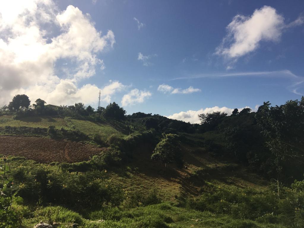 Fourteenth image of Hibernia in Devon, Manchester, Jamaica - property is For Sale