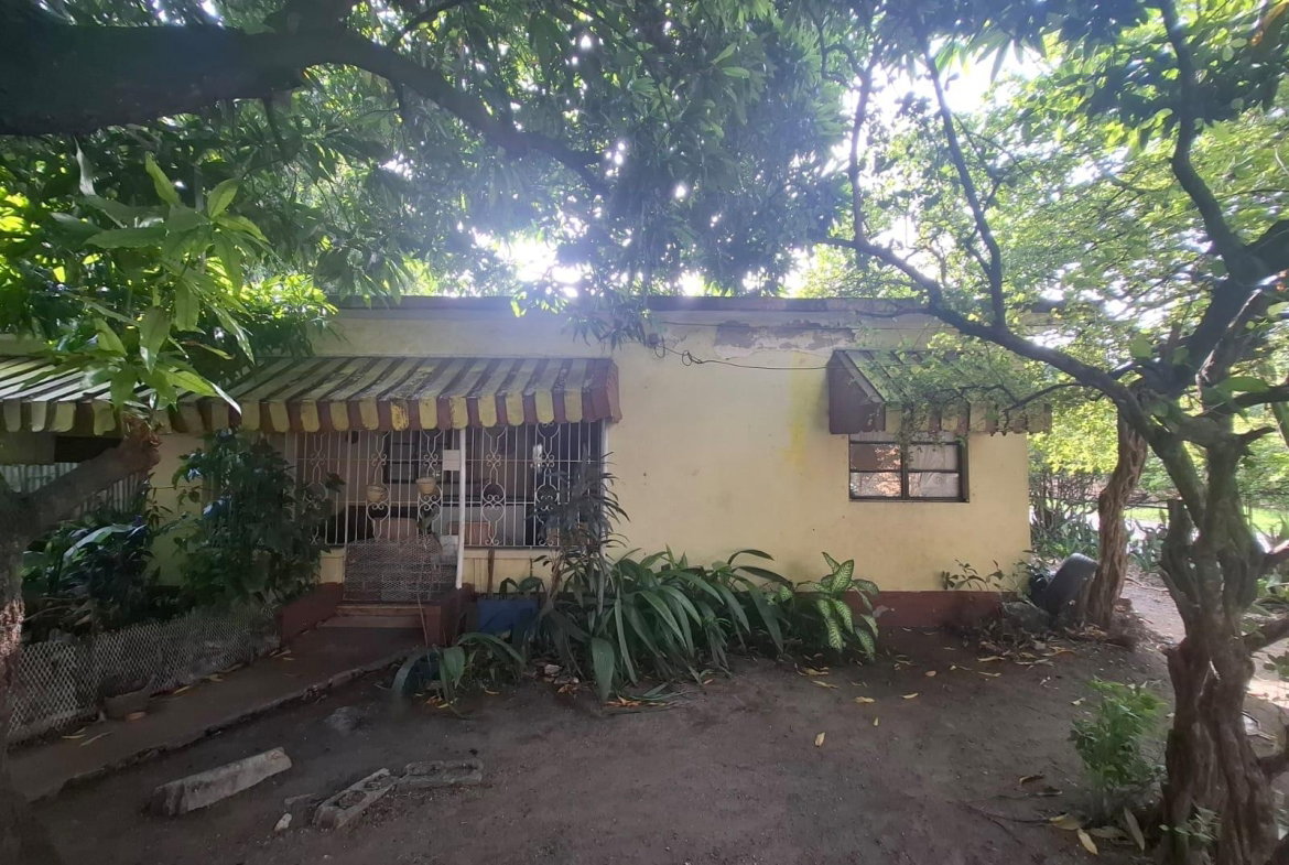 First image of 21 Aloe Avenue, Kingston 11 in Kingston 11, St. Andrew, Jamaica - property is For Sale