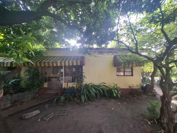 First image of 21 Aloe Avenue, Kingston 11 in Kingston 11, St. Andrew, Jamaica - property is For Sale