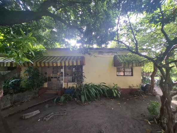 First image of 21 Aloe Avenue, Kingston 11 in Kingston 11, St. Andrew, Jamaica - property is For Sale