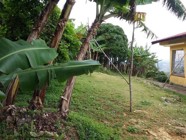 Eleventh image of Gloster, Thompson Town in Thompson Town, Clarendon, Jamaica - property is For Sale