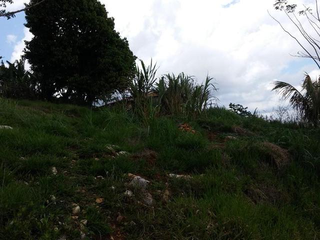 Fifteenth image of Gloster, Thompson Town in Thompson Town, Clarendon, Jamaica - property is For Sale