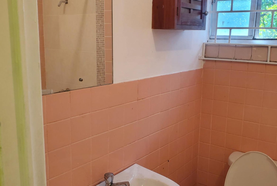 Twenty-Ninth image of 58 Dickens Ave. in Kingston 20, St. Andrew, Jamaica - property is For Sale
