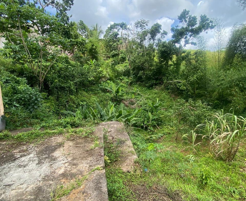 Twenty-Eighth image of Lot 3 Hillside And Cedar in Mandeville, Manchester, Jamaica - property is For Sale