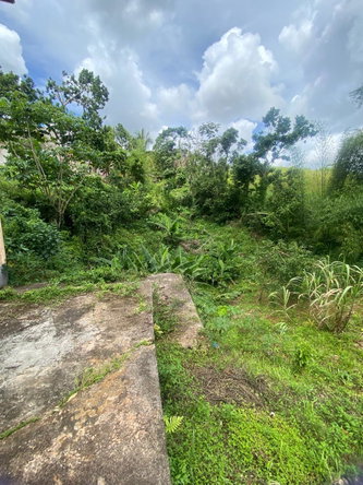 Twenty-Eighth image of Lot 3 Hillside And Cedar in Mandeville, Manchester, Jamaica - property is For Sale