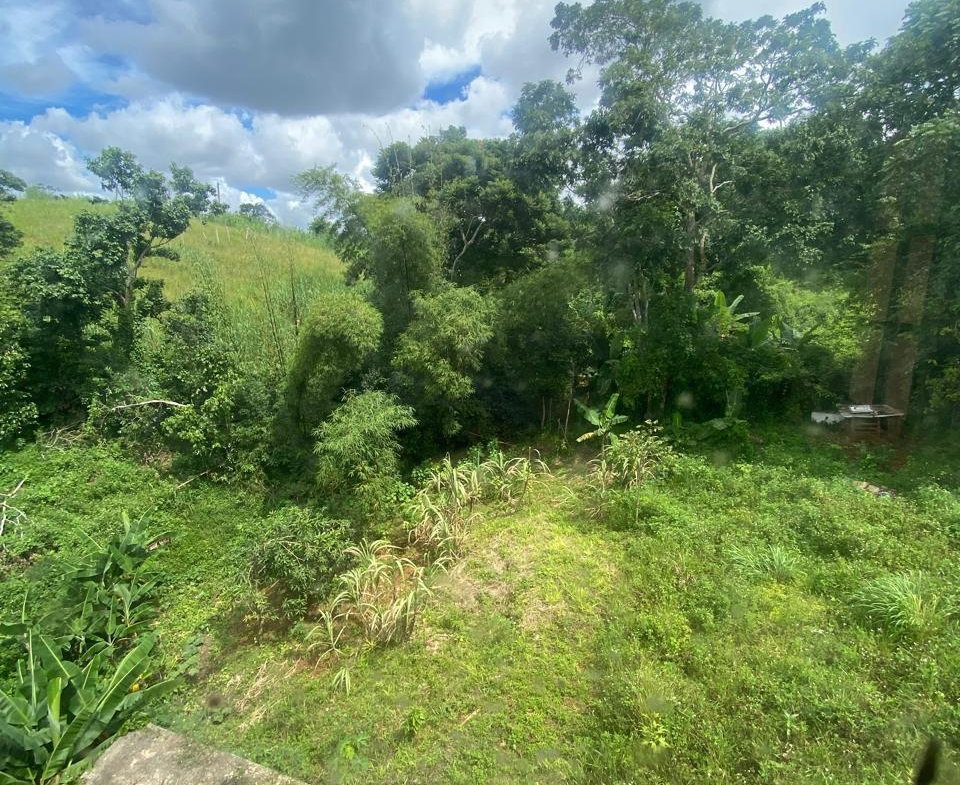 Twenty-Ninth image of Lot 3 Hillside And Cedar in Mandeville, Manchester, Jamaica - property is For Sale