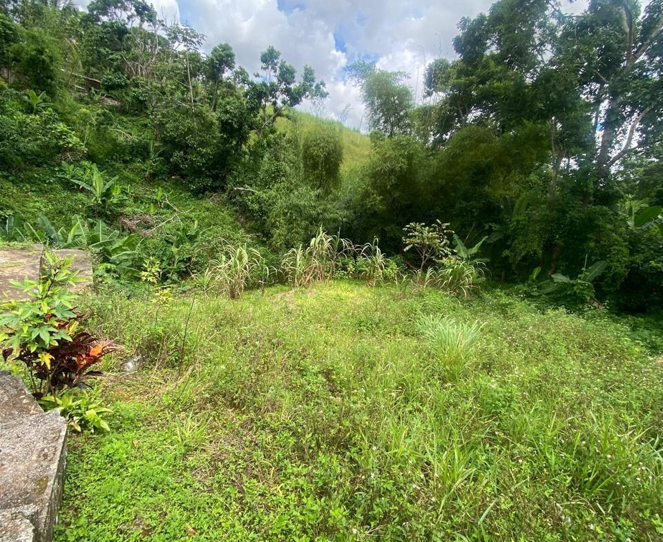Thirtieth image of Lot 3 Hillside And Cedar in Mandeville, Manchester, Jamaica - property is For Sale