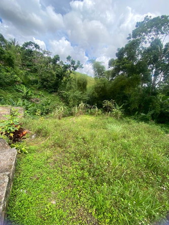 Thirtieth image of Lot 3 Hillside And Cedar in Mandeville, Manchester, Jamaica - property is For Sale