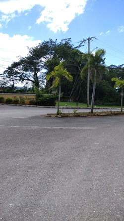 Twenty-Eighth image of Lot#-266 Winchester Estate in Green Island, Hanover, Jamaica - property is For Sale