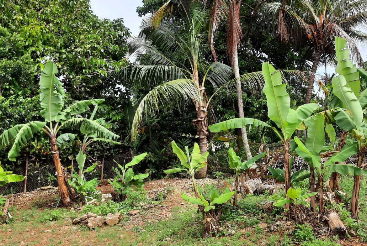 Twenty-Second image of 6 Gordon Close, Mandeville in Mandeville, Manchester, Jamaica - property is For Sale