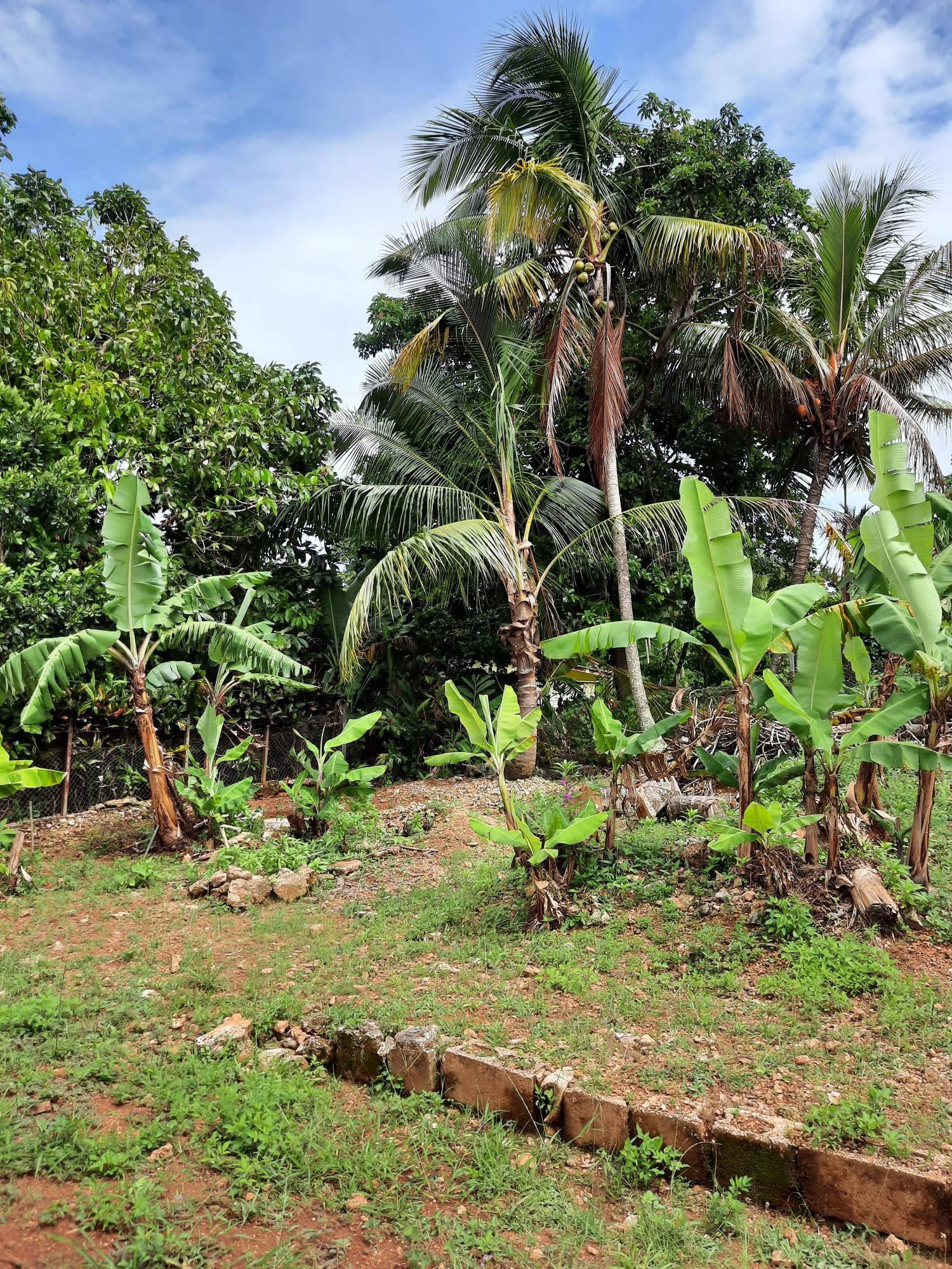 Twenty-Second image of 6 Gordon Close, Mandeville in Mandeville, Manchester, Jamaica - property is For Sale
