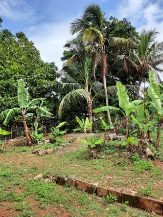 Twenty-Second image of 6 Gordon Close, Mandeville in Mandeville, Manchester, Jamaica - property is For Sale