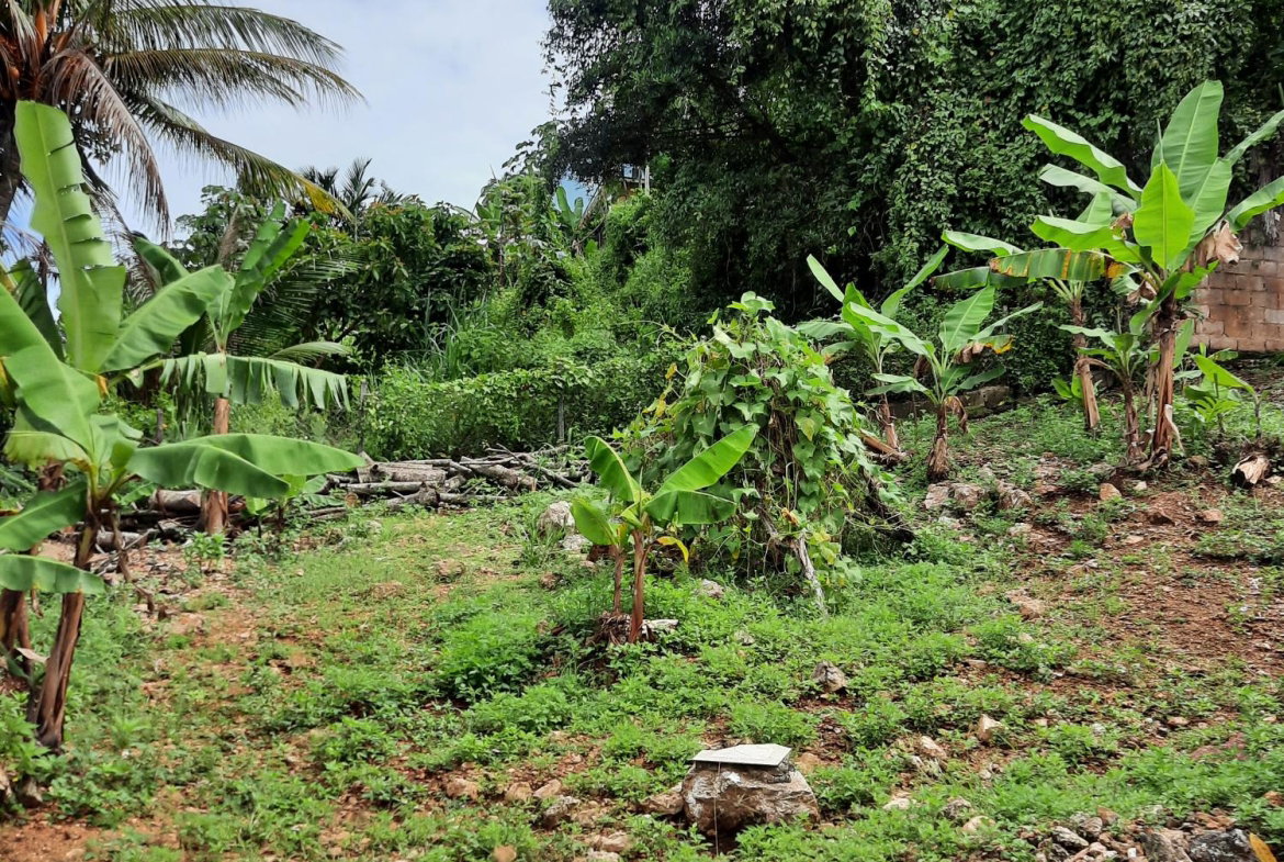 Twenty-Third image of 6 Gordon Close, Mandeville in Mandeville, Manchester, Jamaica - property is For Sale
