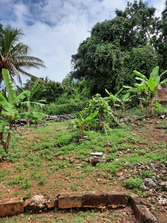 Twenty-Third image of 6 Gordon Close, Mandeville in Mandeville, Manchester, Jamaica - property is For Sale