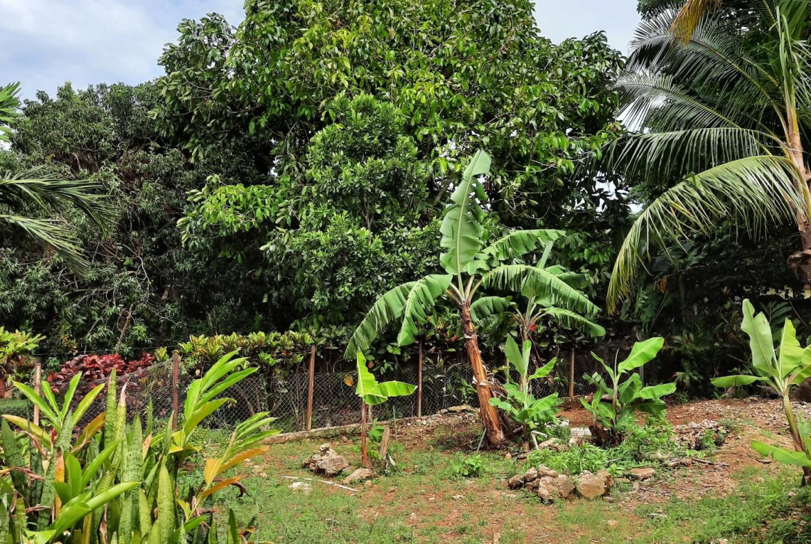 Twenty-Fourth image of 6 Gordon Close, Mandeville in Mandeville, Manchester, Jamaica - property is For Sale