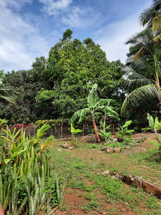 Twenty-Fourth image of 6 Gordon Close, Mandeville in Mandeville, Manchester, Jamaica - property is For Sale