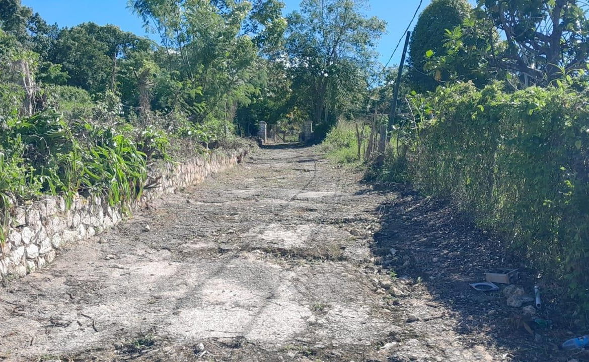 Seventeenth image of Lot 102 Greenvale, Mile g in MILE GULLY, Manchester, Jamaica - property is For Sale