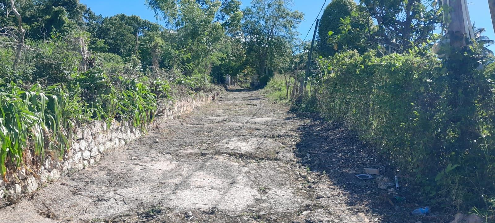 Charming-4-Bedroom-Home-for-Sale-in-Greenvale-Manchester-Jamaica Seventeenth image of Lot 102 Greenvale, Mile g in MILE GULLY, Manchester, Jamaica - property is For Sale