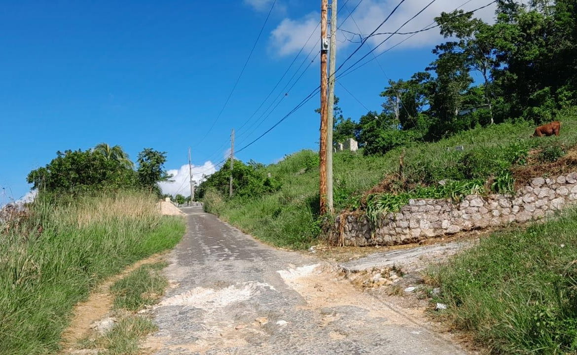 Eighteenth image of Lot 102 Greenvale, Mile g in MILE GULLY, Manchester, Jamaica - property is For Sale