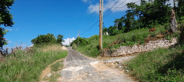 Eighteenth image of Lot 102 Greenvale, Mile g in MILE GULLY, Manchester, Jamaica - property is For Sale