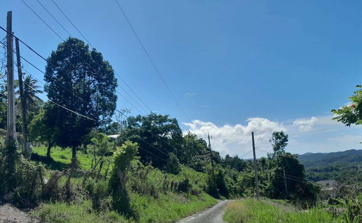 Twentieth image of Lot 102 Greenvale, Mile g in MILE GULLY, Manchester, Jamaica - property is For Sale
